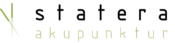 Statera-Logo_gront28-175x43-1.webp